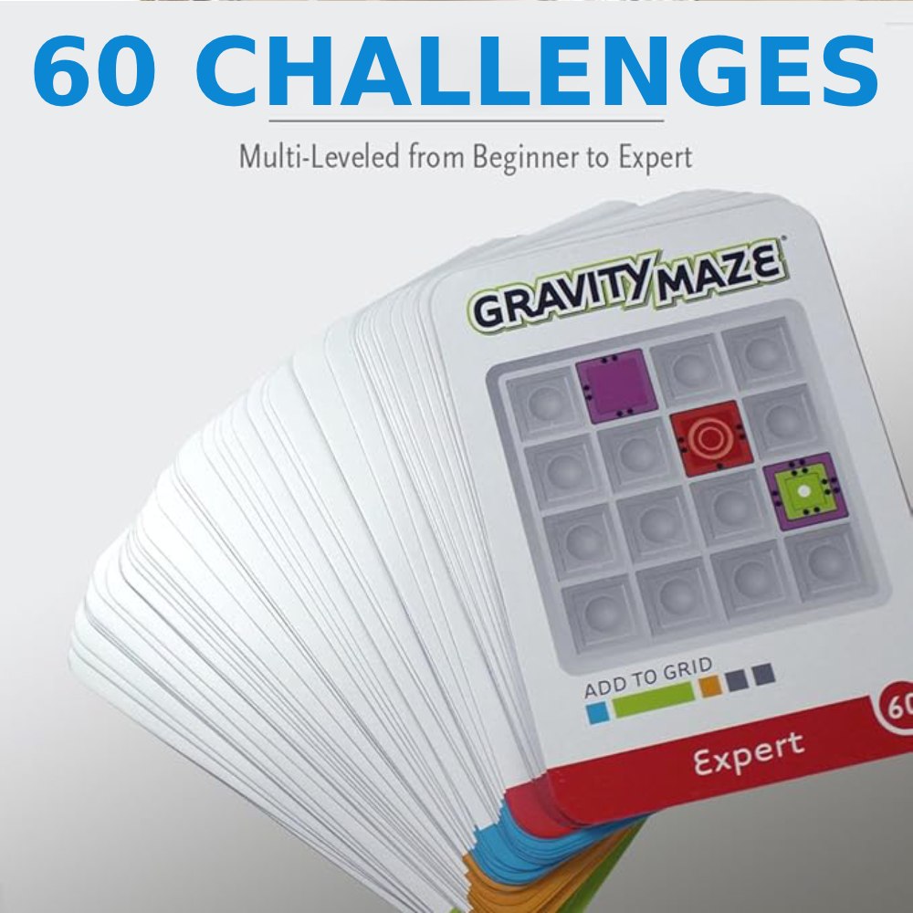 Gravity Maze Game